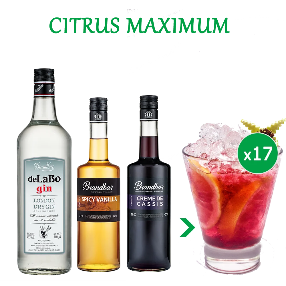 Коктейль CITRUS MAXIMUM (набір інгредієнтів) х17